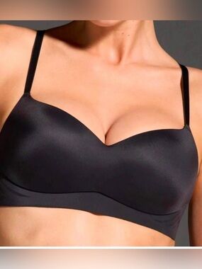 Eby wireless bra NWT XL DD